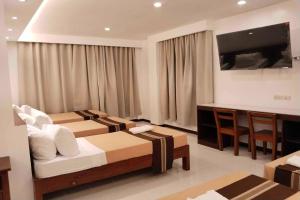 TV a/nebo společenská místnost v ubytování Hotel Lapira Vigan