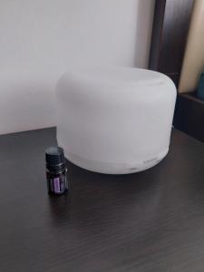 Fotografie z fotogalerie ubytování Ianca Urban Stay v destinaci Şelimbăr