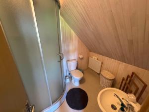 a small bathroom with a toilet and a sink at Gintaro Vila in Kunigiškiai +30 photos