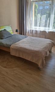 Una cama sentada en una habitación con ventana. en Mazais Ligzdiņš, en Ventspils