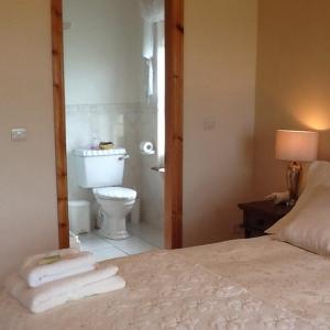 a bedroom with a bed and a bathroom with a toilet at Clonoughter Heights in Glin