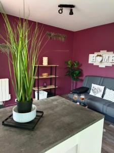 a living room with purple walls and a potted plant at Studio lumineux à 300 m de la plage et commerces in Villers-sur-Mer