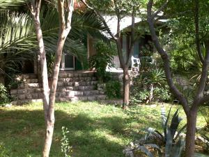 a house with trees in front of a yard at Apartments MiaMaja in Novalja