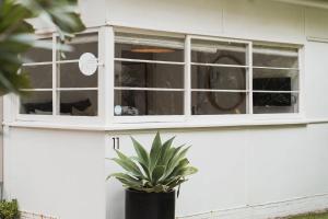 a potted plant sitting in front of a window at The Cottage at Pearl Beach in Pearl Beach