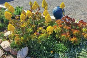 Galería fotográfica de Port Indigo Guest House en Port Nolloth