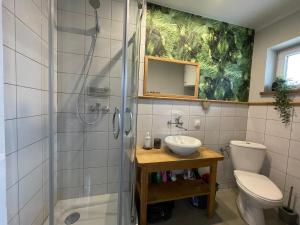 a bathroom with a shower and a sink and a toilet at Domek pod lasem in Pogorzelica