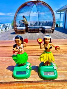 Fotografie z fotogalerie ubytování Aloha Mabul Scuba Lodge v destinaci Pulau Mabul 