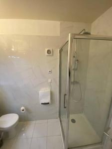 a white bathroom with a shower and a toilet at Grands appartements dans la vieille ville in Périgueux