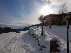 Geelink's Berghütte v zimě