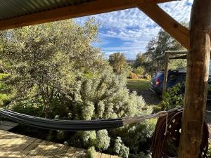 a hammock in a garden with a tree at The Happy Place, private cottage with rustic pool in Van Wyksdorp