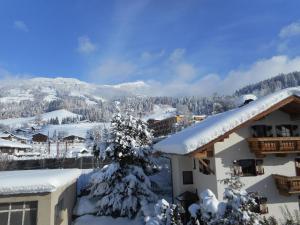 a snow covered roof of a building with a mountain at Bodenschmiede in Hopfgarten im Brixental