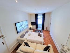 Televiisor ja/või meelelahutuskeskus majutusasutuses Immeuble Historique Chamonix Centre