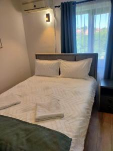 Postel nebo postele na pokoji v ubytování Casa Darius Cluj
