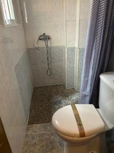 un baño con inodoro y ducha en Pensión LF - No Fumadores - Habitaciones Con Baño Privado - Sin Ascensor, en Zaragoza