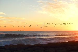 Galería fotográfica de Port Indigo Guest House en Port Nolloth