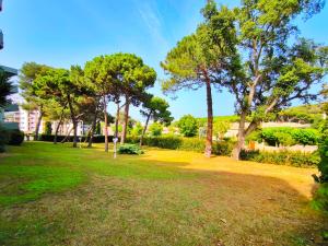 ein Park mit Bäumen, Gras und Gebäuden in der Unterkunft Refugio Costero en S'Agaró cerca de Playas Top in S'Agaró