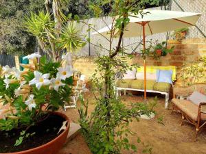 Κήπος έξω από το Terrace with a breathtaking view in Cala Piccola