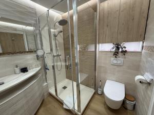 a bathroom with a shower and a toilet and a sink at Appartement Design Centre Résidence Historique avec Parking in Amiens