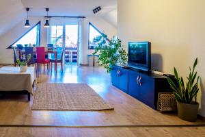 Televízia a/alebo spoločenská miestnosť v ubytovaní Karádi apartman