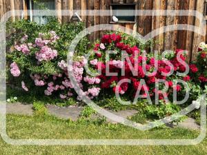 Giardino di AMD Chalet