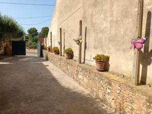 a wall with potted plants on the side of a building at La Pallissa 9 in Torroella de Montgrí