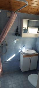 a bathroom with a sink and a shower and a mirror at Haus Aurora in Hedenäset