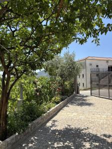 Galeriebild der Unterkunft Stan u Igalu in Igalo