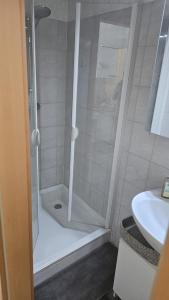 UlmerfeldにあるApartment im Zentrum Ulmerfeldsのバスルーム(シャワー、シンク付)