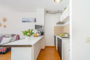 Kuchyň nebo kuchyňský kout v ubytování Basic comfort Apartment Gran reserva 0055 + 16 fotografií