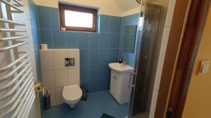 a bathroom with a toilet and a sink at Domek Wichrowy groń in Korbielów +6 photos