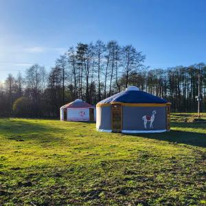 a yurt with a goat painted on it in a field at Zagroda Zabłocie Jurty in Zabłocie +18 photos