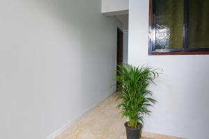Fotografie z fotogalerie ubytování FabHotel Baner Executive - Nr MCF Camp v destinaci Puné