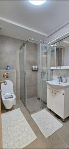 a bathroom with a shower and a toilet and a sink at Sanela's Peace in Vrnjačka Banja +10 photos