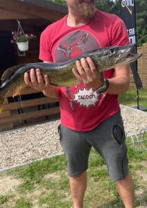 Foto dalla galleria di Słonik a Stegers