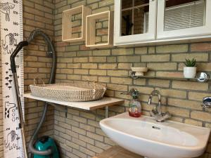 ein Badezimmer mit Waschbecken und einer Ziegelwand in der Unterkunft De Lavendeltuin in Sint Maartensvlotbrug