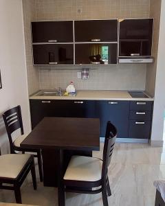 a kitchen with a table and chairs and a sink at Apartments Danilo Kažanegra in Sveti Stefan