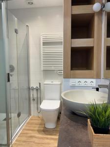 Kúpeľňa v ubytovaní Apartamento Deluxe Torremar + 26 fotografií