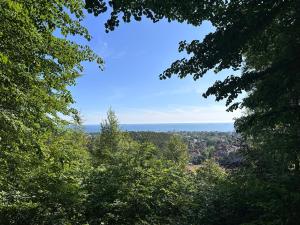 Príroda v okolí apartmánu