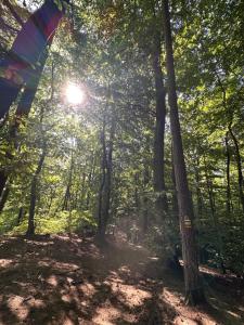 Príroda v okolí apartmánu