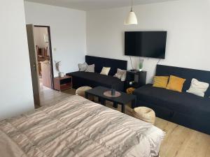 a living room with a blue couch and a tv at Apartmán 2 in Česká Lípa