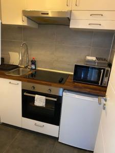 a kitchen with a stove and a sink and a microwave at Gemütliche Wohnung im Herzen von Heidelberg in Heidelberg
