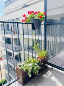 Balkón alebo terasa v ubytovaní River Sunshine Apartment