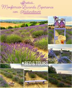 Fotografia z galérie ubytovania Bed & Tours Dimora di campagna v destinácii Castelnuovo Belbo