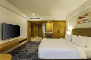 TV a/nebo společenská místnost v ubytování Radisson Blu Hotel Pune Kharadi