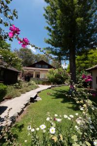 a garden with flowers and a tree and a building at Numa Emek-Countryside Guesthouse in Yokneam Moshava in Yoqne‘am