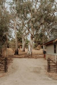 a group of trees next to a building with a fence at The Barn - On Cockatoo Lane in Sandy Creek +9 photos