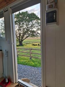 an open door to a pasture with a tree at Wooly Huts Green in Westport