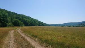 a dirt road in the middle of a field at Bernard bnb in Veliko Mlačevo +4 photos