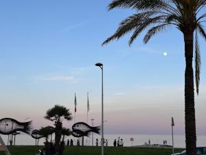 a palm tree and flags in a park near the beach at Sun, beach and relaxation in Cagnes-sur-Mer +4 photos