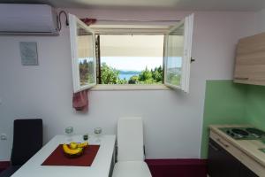 Η κουζίνα ή μικρή κουζίνα στο Apartments Tomaš